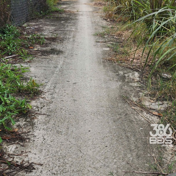 Bán nền thổ cư đường đá xanh 2m xã Tân Trụ , Bến Lức dt 105,5m2 giá 380 triệu-2