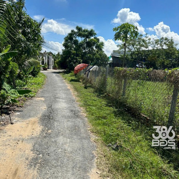 Bán 5 lô thổ cư liền kề xã Bình Tịnh, huyện Tân Trụ dt 197m2 giá 739 triệu 1 lô-1