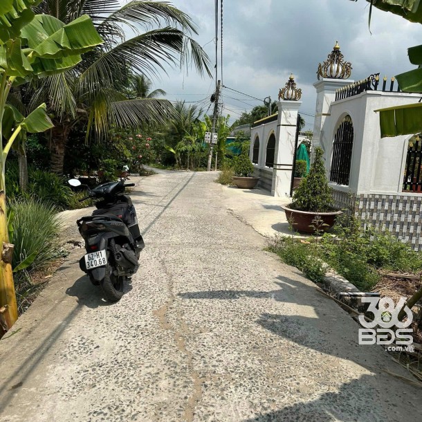 Bán 5 lô thổ cư liền kề xã Bình Tịnh, huyện Tân Trụ dt 197m2 giá 739 triệu 1 lô-3