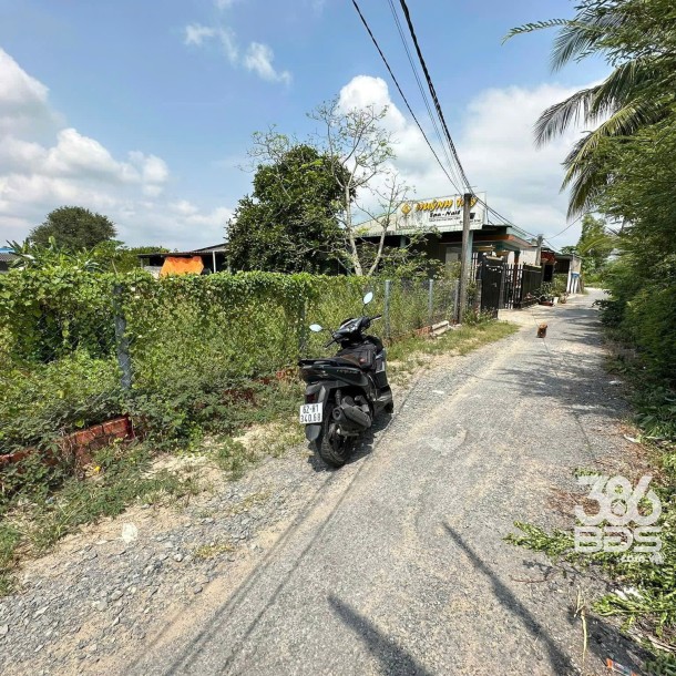 Bán 5 lô thổ cư liền kề xã Bình Tịnh, huyện Tân Trụ dt 197m2 giá 739 triệu 1 lô-4