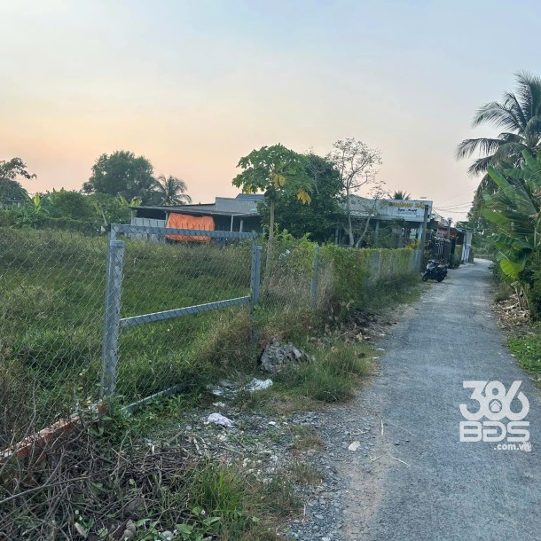 Bán 5 lô thổ cư liền kề xã Bình Tịnh, huyện Tân Trụ dt 197m2 giá 739 triệu 1 lô-6