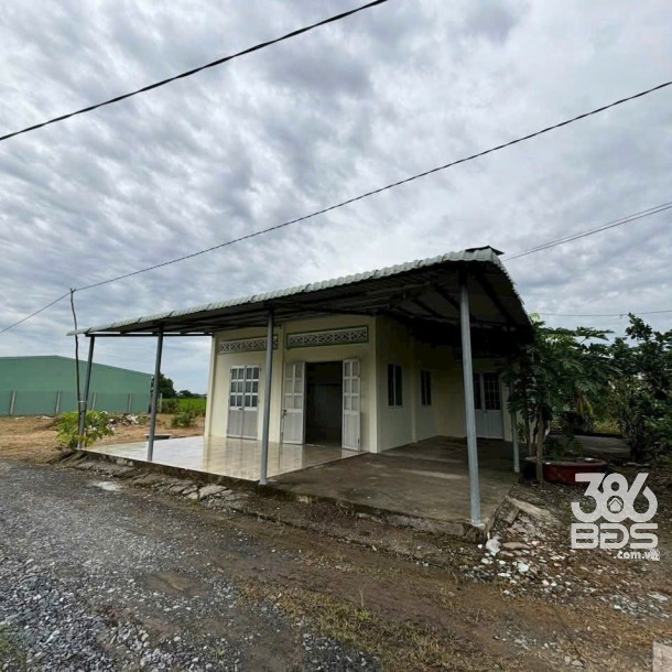 Bán nhà cấp 4 tổng dt 1300m2 đất lúa xã Đức Tân, Tân Trụ giá 1,2 tỷ-1