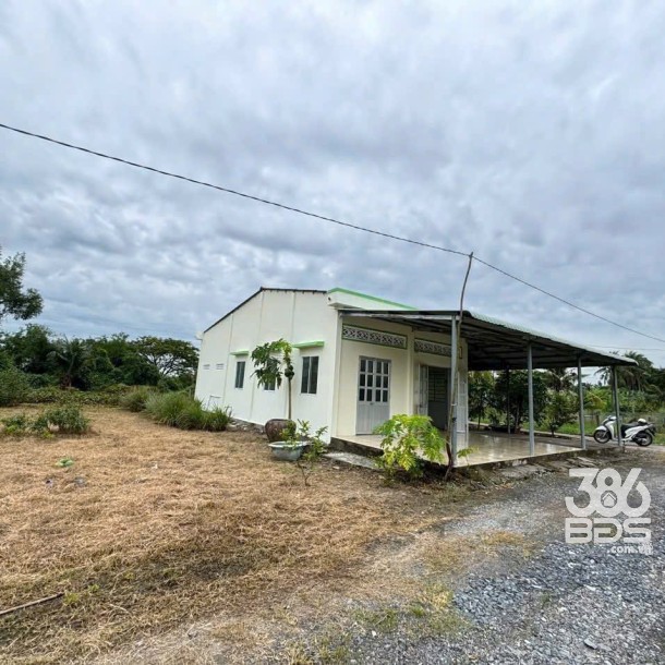 Bán nhà cấp 4 tổng dt 1300m2 đất lúa xã Đức Tân, Tân Trụ giá 1,2 tỷ-4