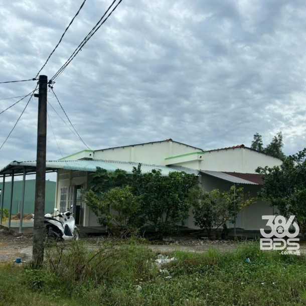 Bán nhà cấp 4 tổng dt 1300m2 đất lúa xã Đức Tân, Tân Trụ giá 1,2 tỷ-5