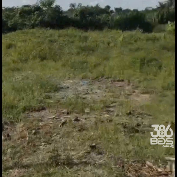 Bán đất thổ cư mt Xóm Gò, xã Đức Lập Hạ dt 130m2 giá 1,2 tỷ-3