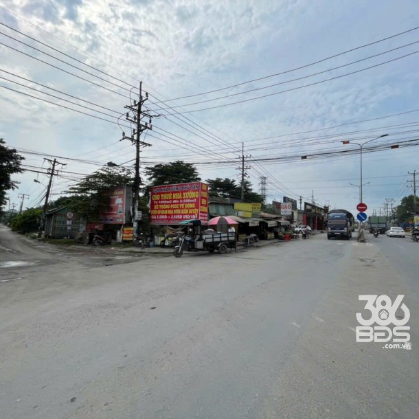 Bán nhà xưởng tdt 20.405m2 skc xã Đức Hòa Hạ, Đức Hòa giá 130 tỷ-10