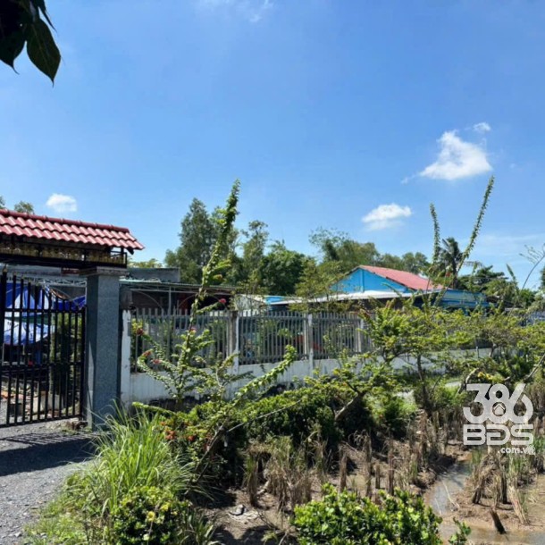 Nhà vườn thị trấn Tân Túc, Bình Chánh tdt 780m2 giá 5,3 tỷ-1