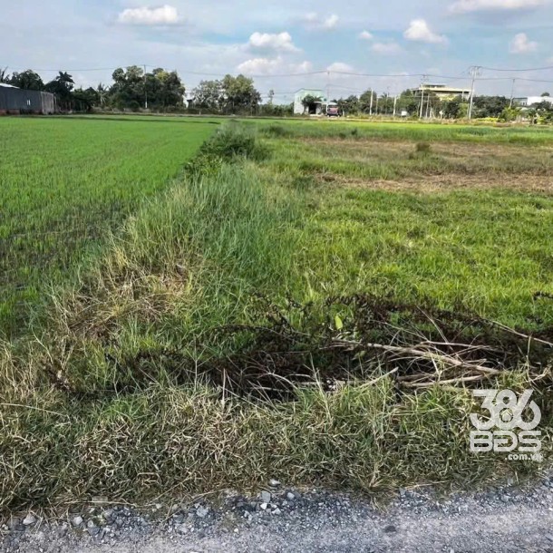 Bán đất thổ cư xã Đức  Lập Hạ dt 180m2 giá 800 triệu-1