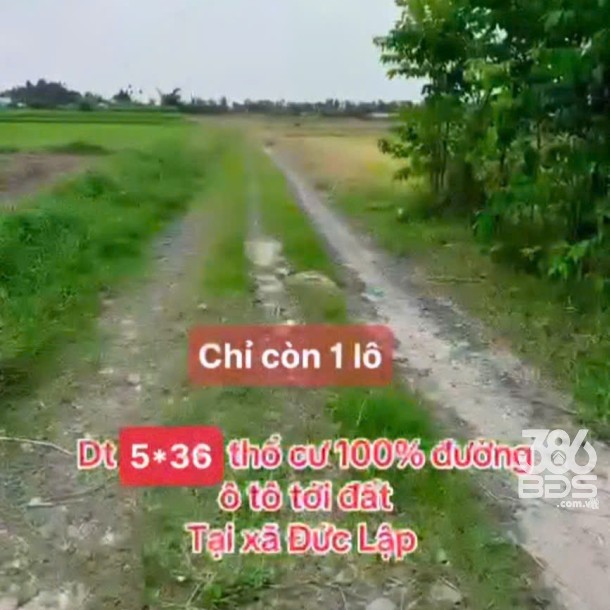 Bán đất thổ cư xã Đức  Lập Hạ dt 180m2 giá 800 triệu-2