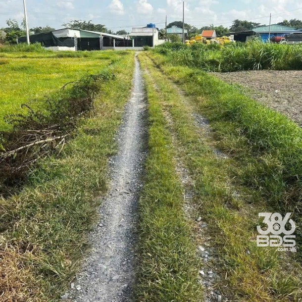 Bán đất thổ cư xã Đức  Lập Hạ dt 180m2 giá 800 triệu-3