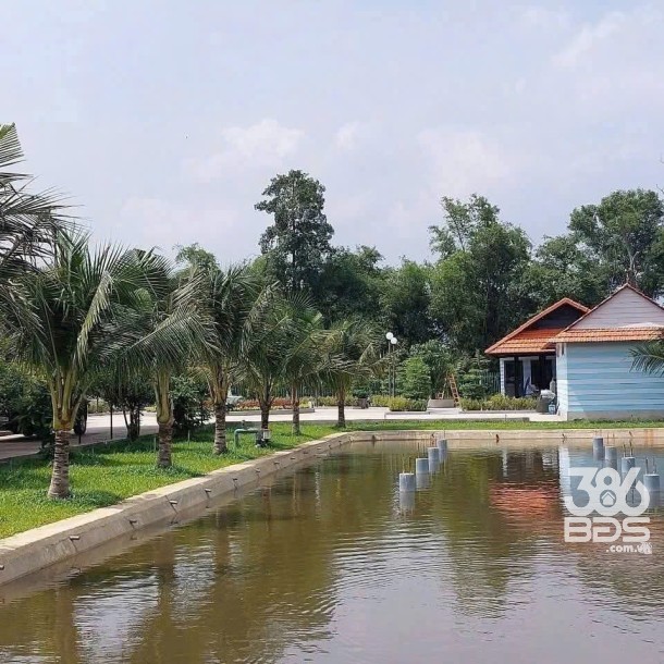 Bán nhà vườn đẹp thị trấn Hậu Nghĩa, Đức Hòa tdt 4300m2 ( có 292m2 thổ cư ) giá 12,5 tỷ-6