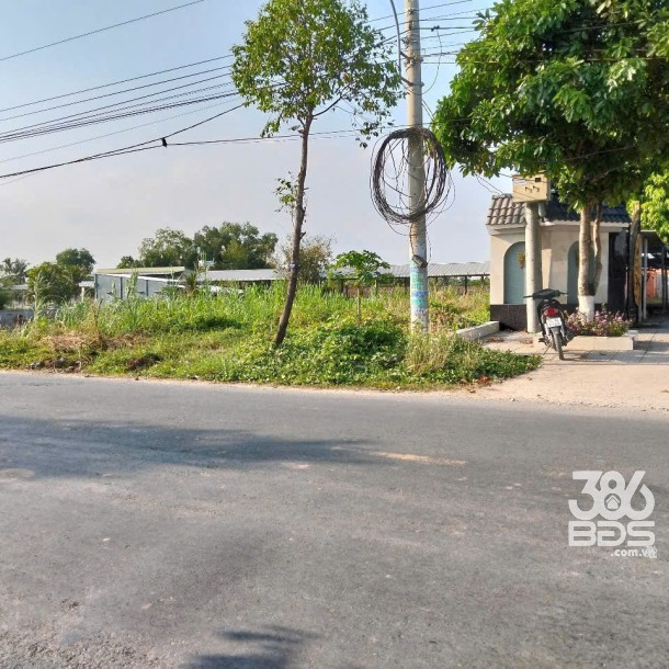 Bán 750m2 đất vườn mặt tiền Ba Sa Gò Mối ,  xã Đức Lập Hạ giá 4,4 tỷ-3