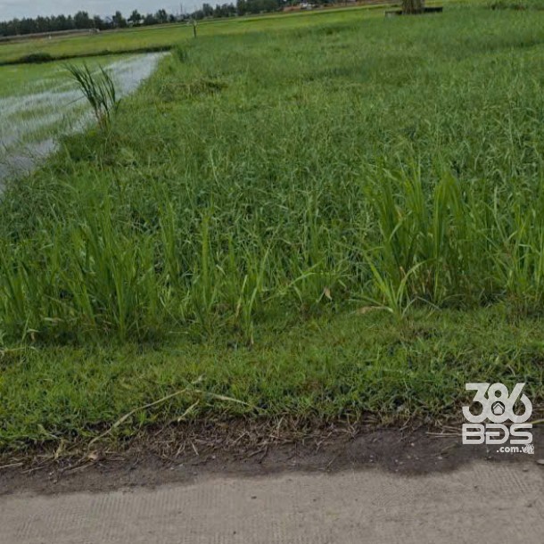 Bán lô đất thổ cư 1/ Láng Cẩm , xã Đức Lập Hạ dt 295m2 giá 3 tỷ-3