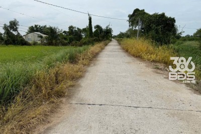 Bán đất thổ + vườn mặt tiền kênh ở xã Tân Hòa, Bến Lức tdt 1297m2 ( có 1200m2 thổ) giá 1,3 tỷ