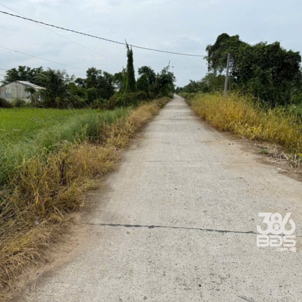 Bán đất thổ + vườn mặt tiền kênh ở xã Tân Hòa, Bến Lức tdt 1297m2 ( có 1200m2 thổ) giá 1,3 tỷ-1