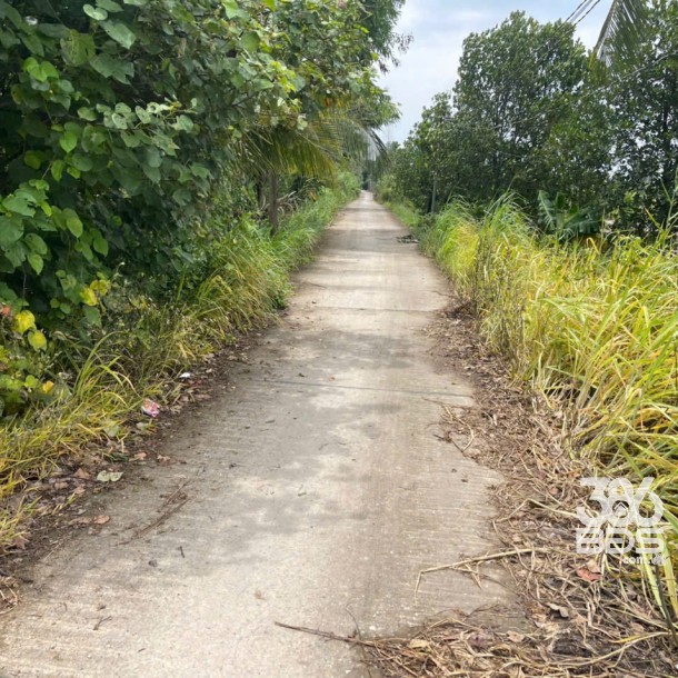 Bán đất mặt tiền kênh ở xã Tân Bửu , Bến Lức tdt 9600m2 ( có 131m2 thổ) giá 10 tỷ-1