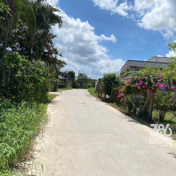 Bán đất mặt tiền kênh ở xã Tân Bửu , Bến Lức tdt 9600m2 ( có 131m2 thổ) giá 10 tỷ-2