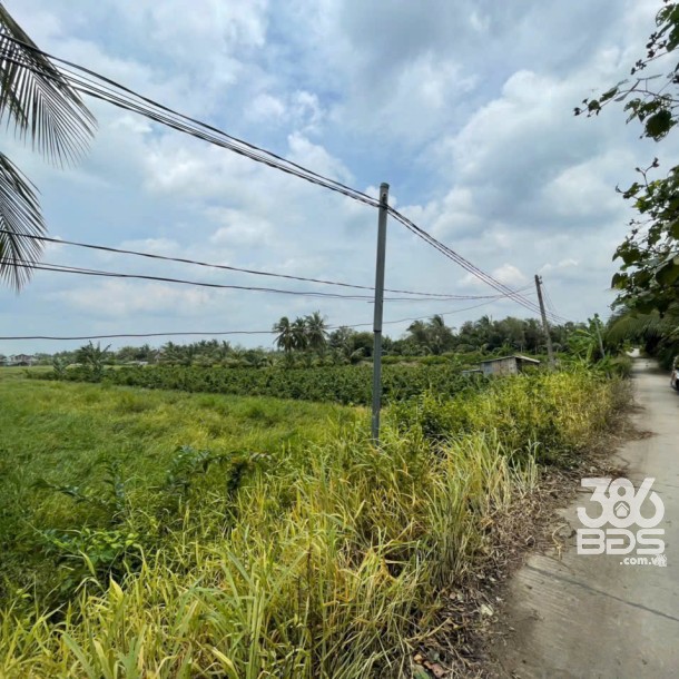 Bán đất mặt tiền kênh ở xã Tân Bửu , Bến Lức tdt 9600m2 ( có 131m2 thổ) giá 10 tỷ-3