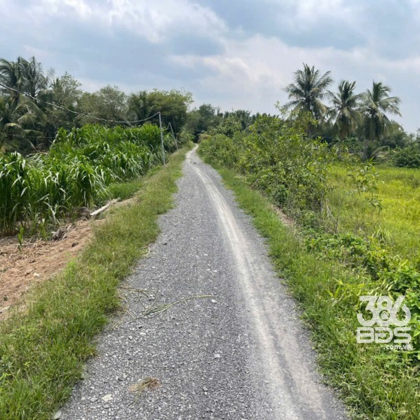 Bán đất mặt tiền kênh ở xã Tân Bửu , Bến Lức tdt 9600m2 ( có 131m2 thổ) giá 10 tỷ-4