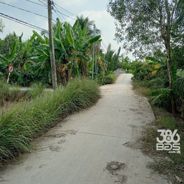 Bán đất mặt tiền kênh ở xã Tân Bửu , Bến Lức tdt 9600m2 ( có 131m2 thổ) giá 10 tỷ-6