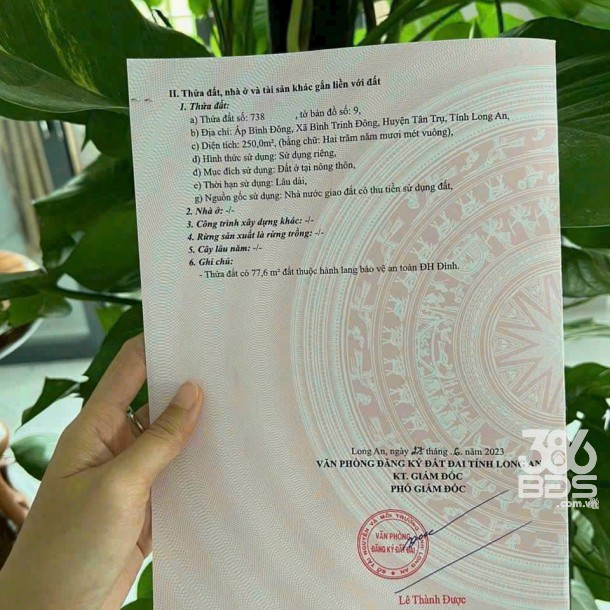 Bán đất thổ cư mt đường nhựa xã Bình Trinh Đông, Tân Trụ dt 250m2 giá 1,5 tỷ-3