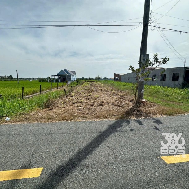 Bán đất thổ cư mt đường nhựa xã Bình Trinh Đông, Tân Trụ dt 250m2 giá 1,5 tỷ-4