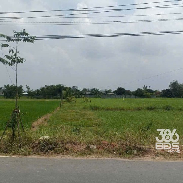 Bán đất thổ cư mặt tiền nhựa Láng Cẩm, xã Đức Lập Hạ dt 240m2 giá 2,8 tỷ-2