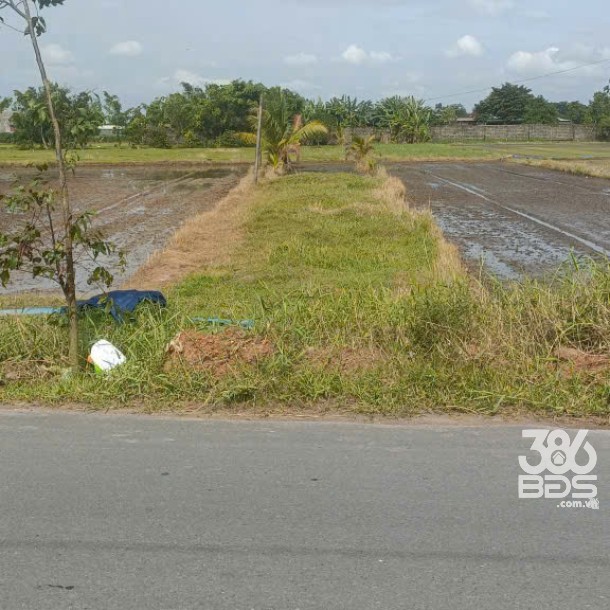 Bán đất thổ cư mặt tiền nhựa Láng Cẩm, xã Đức Lập Hạ dt 240m2 giá 2,8 tỷ-3