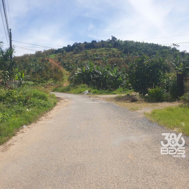 Bán đất vườn view đẹp thôn 10, xã Lộc Nam tdt 14.500m2 giá 11,2 tỷ-2