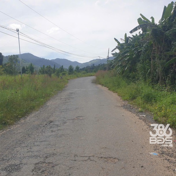 Bán đất vườn view, mặt tiền đường nhựa thôn 10, xã Lộc Nam, huyện Bảo Lâm dt 8.876m2 giá 5,9 tỷ-2