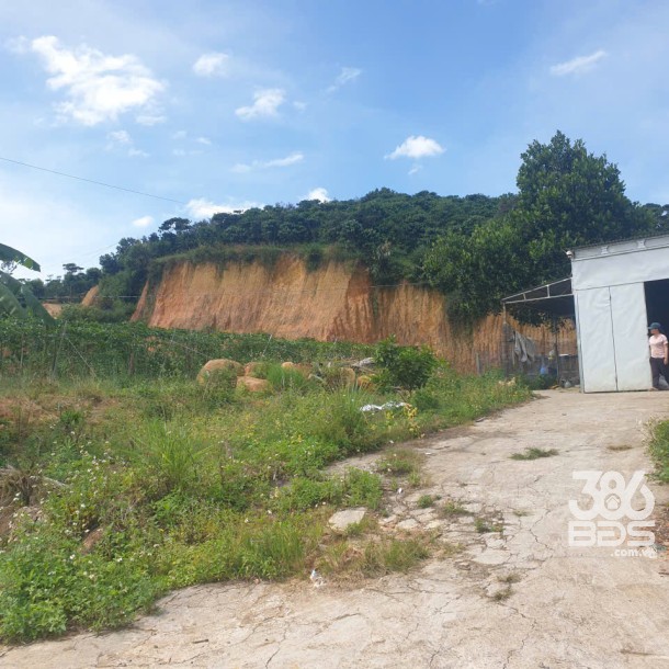 Bán đất vườn view, mặt tiền đường nhựa thôn 10, xã Lộc Nam, huyện Bảo Lâm dt 8.876m2 giá 5,9 tỷ-4