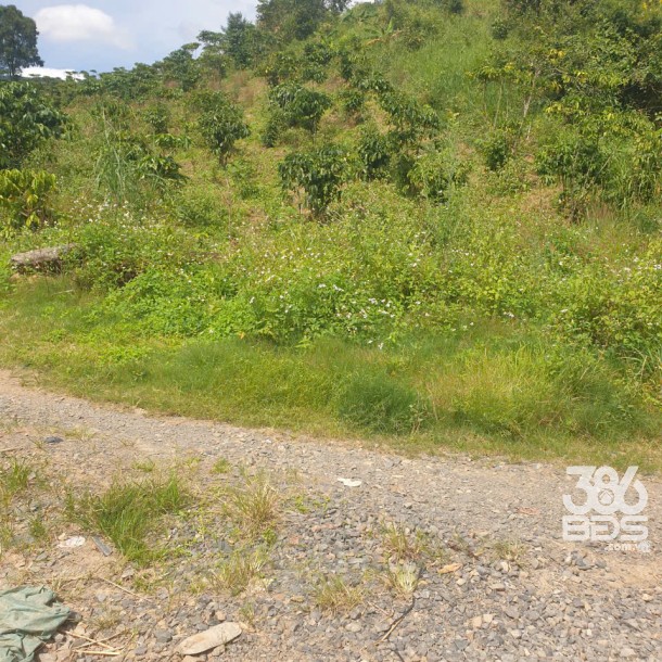 Bán đất vườn view, mặt tiền đường nhựa thôn 10, xã Lộc Nam, huyện Bảo Lâm dt 8.876m2 giá 5,9 tỷ-8