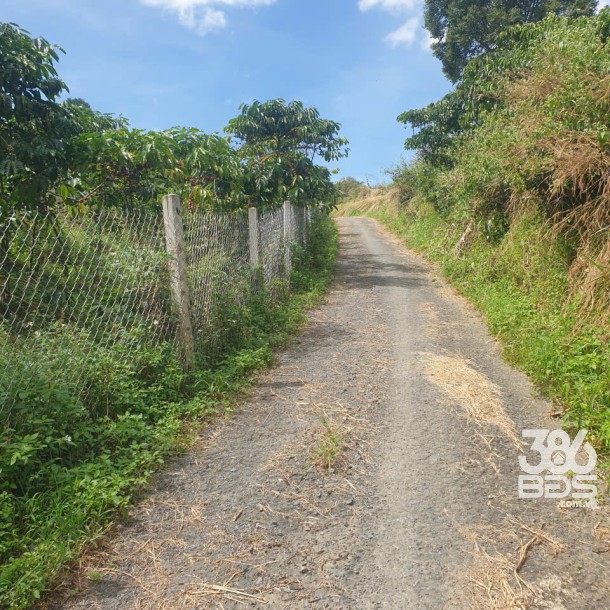 Bán đất vườn view, mặt tiền đường nhựa thôn 10, xã Lộc Nam, huyện Bảo Lâm dt 8.876m2 giá 5,9 tỷ-11