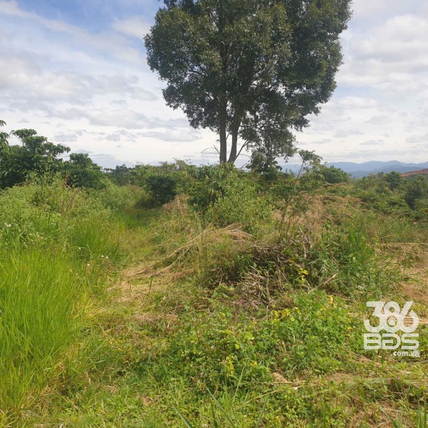 Bán đất vườn view, mặt tiền đường nhựa thôn 10, xã Lộc Nam, huyện Bảo Lâm dt 8.876m2 giá 5,9 tỷ-13