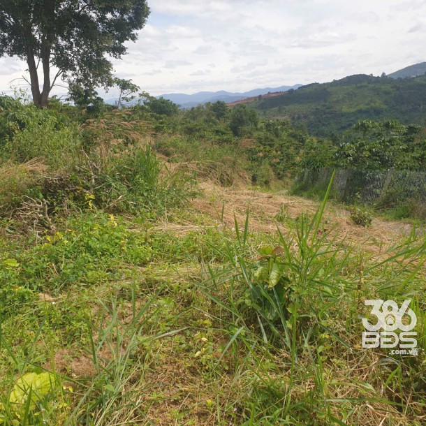 Bán đất vườn view, mặt tiền đường nhựa thôn 10, xã Lộc Nam, huyện Bảo Lâm dt 8.876m2 giá 5,9 tỷ-14