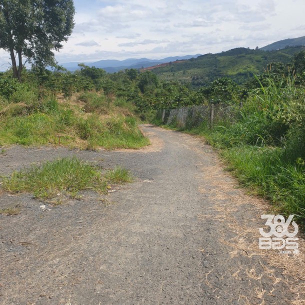 Bán đất vườn view, mặt tiền đường nhựa thôn 10, xã Lộc Nam, huyện Bảo Lâm dt 8.876m2 giá 5,9 tỷ-18