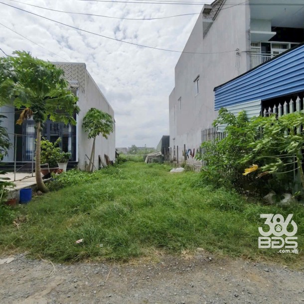 Bán đất thổ cư xã Mỹ Hạnh Nam dt 264m2 giá 1,67 tỷ-3