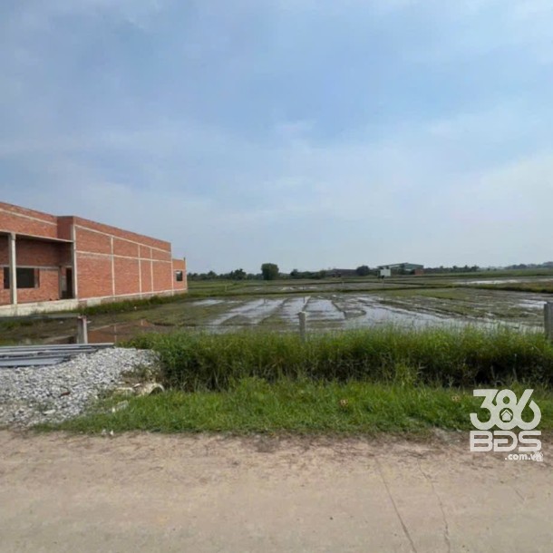 Bán đất nền thổ cư , đường beton xã Đức Lập Hạ dt 160m2 giá 1,1 tỷ-3