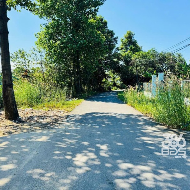 Bán nhà gỗ xã Tân Thông Hội tdt 480m2 ( 300m2 thổ) 2pn 1wc giá 4,2 tỷ-4