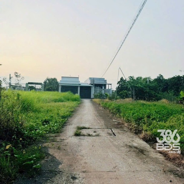 Bán 8 lô thổ cư xã Mỹ Lộc, Cần Giuộc dt 103.5m2 giá 860 triệu / lô-4