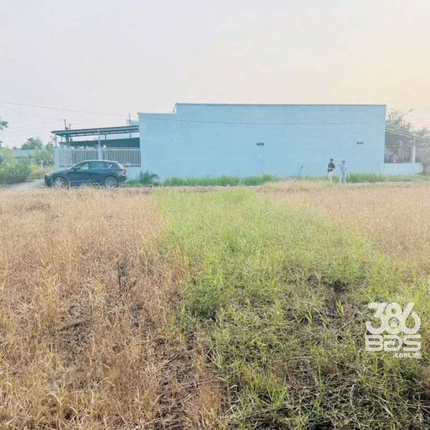 Bán 8 lô thổ cư xã Mỹ Lộc, Cần Giuộc dt 103.5m2 giá 860 triệu / lô-5