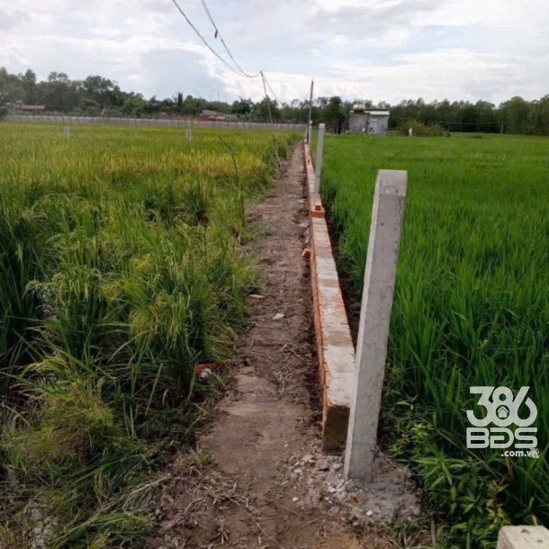 Bán đất thổ cư xã Mỹ Hạnh Bắc , Đức Hòa dt 240m2 giá 1,2 tỷ-2