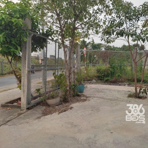 Bán nhà măt tiền Thạnh Đức, Bến Lức tdt 974m2 ( 300m2 thổ ) giá 4,9 tỷ-9