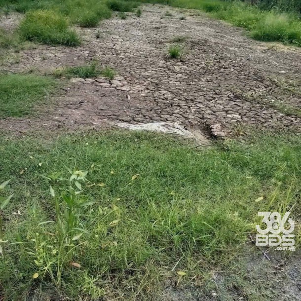 Bán đất thổ cư mt Nguyễn Văn Thậm , xã Phước Hậu dt 106,5m2 giá 1,35 tỷ-1