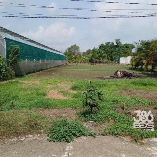 Bán đất thổ cư ấp Nhơn Hòa 1, xã Đức Hòa Thượng dt 365m2 đường beton 4m giá 1,4 tỷ-2