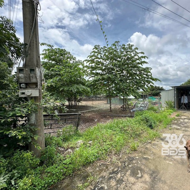 Bán đất 2 mặt tiền đường Rạch Vịnh xã An Thạnh dt 2000m2 ( 300m2 thổ ) giá 6,5 tỷ-5