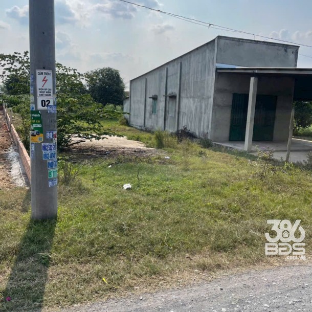 Bán đất xã Tân Mỹ, Đức Hòa dt 385m2 ( có 165m2 thổ ) đường đá xanh 5m giá 1,9 tỷ-2
