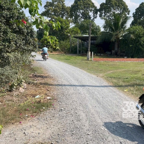 Bán đất xã Tân Mỹ, Đức Hòa dt 385m2 ( có 165m2 thổ ) đường đá xanh 5m giá 1,9 tỷ-3