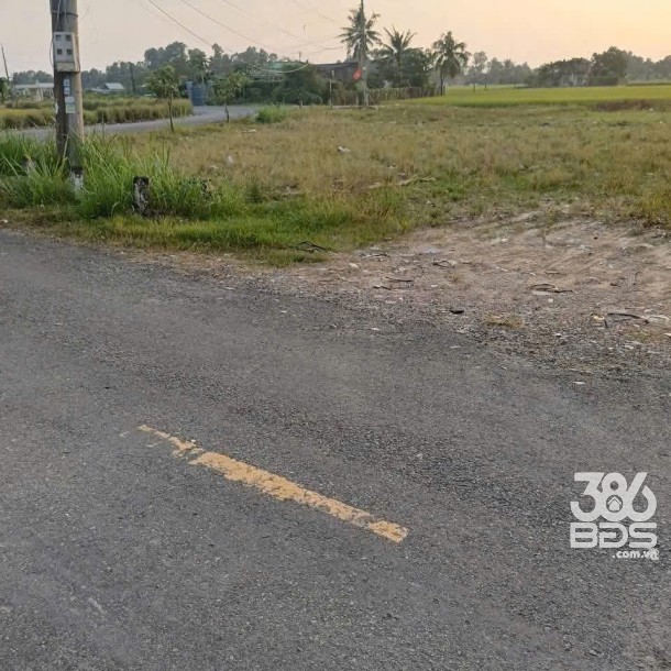 Bán đất đường Phước Toàn , Long Hiệp  dt 453m2 ( 110m2 thổ + 343m2 đất lúa) giá 2,15 tỷ-3