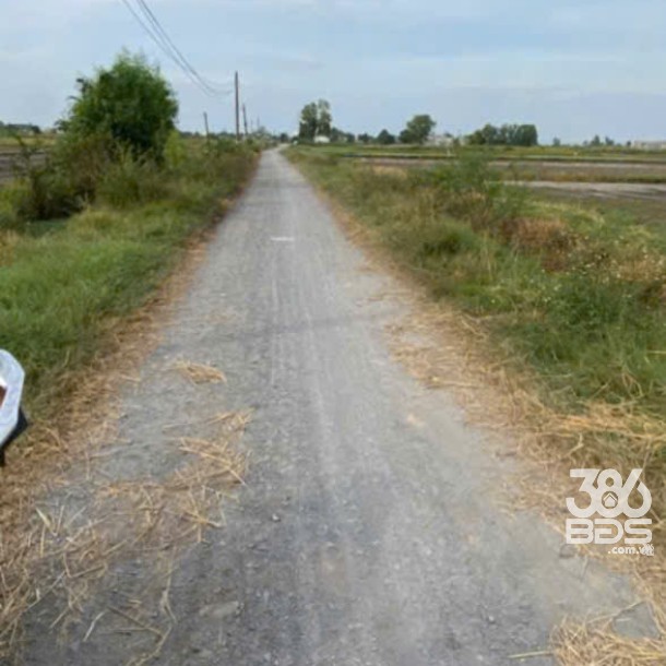 Bán đất thổ cư xã Đức Lập Hạ dt 500m2 đường đá xanh 6m giá 2,3 tỷ-5